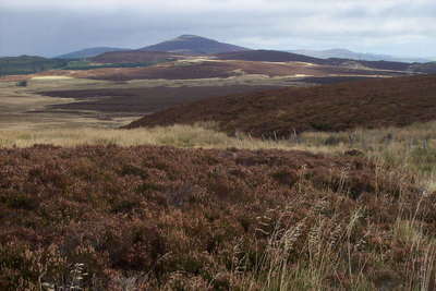 Walk photo