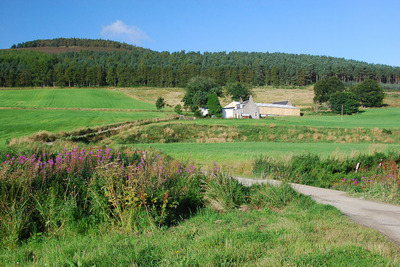 Walk photo