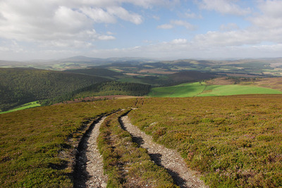 Walk photo