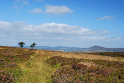 Walk photo