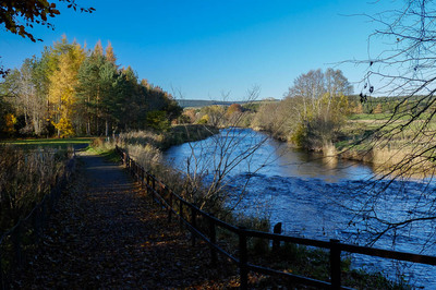 Walk photo