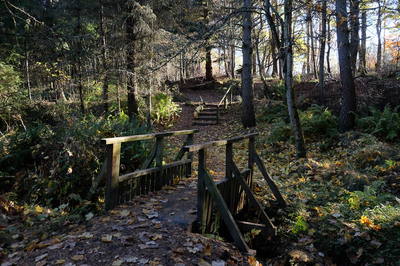 Walk photo