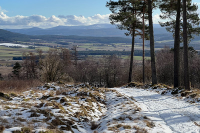 Walk photo