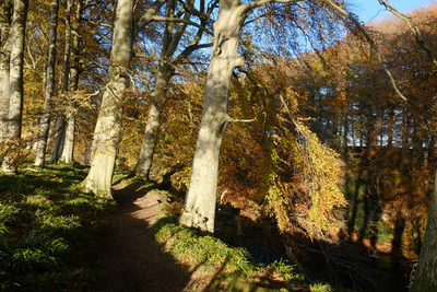 Walk photo