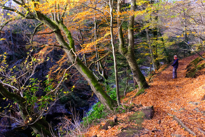 Walk photo
