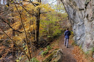 Walk photo