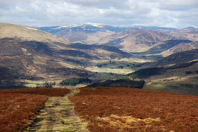 Walk photo