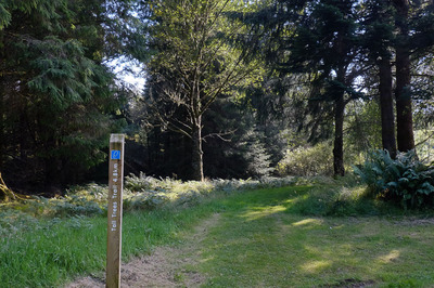 Walk photo