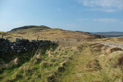 Walk photo