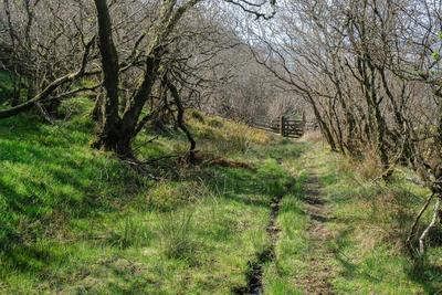 Walk photo