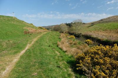 Walk photo