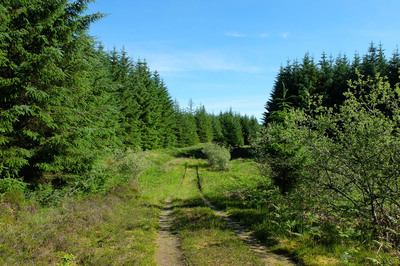 Walk photo