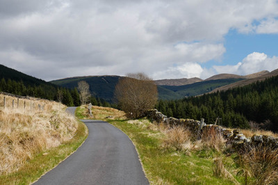 Walk photo