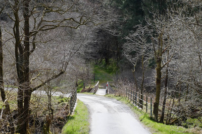 Walk photo