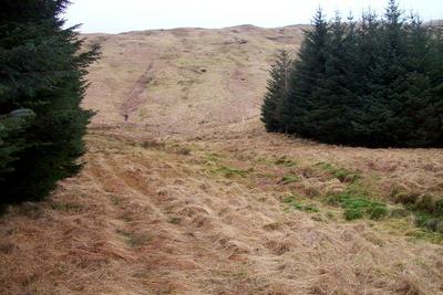 Walk photo