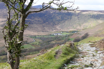 Walk photo