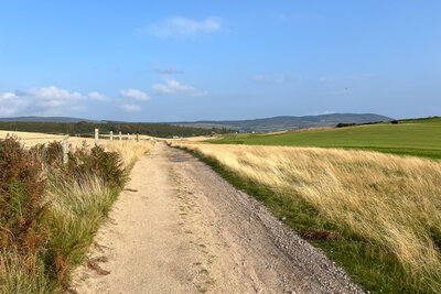 Walk photo