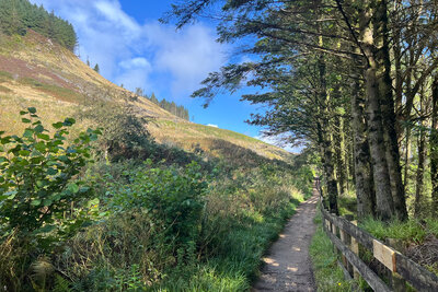 Walk photo