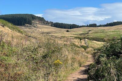 Walk photo