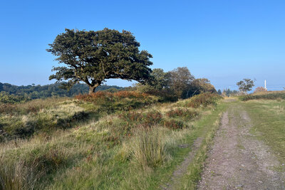 Walk photo
