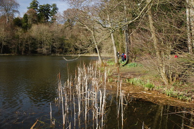 Walk photo