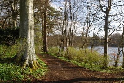 Walk photo