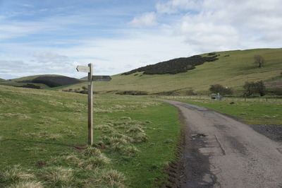 Walk photo