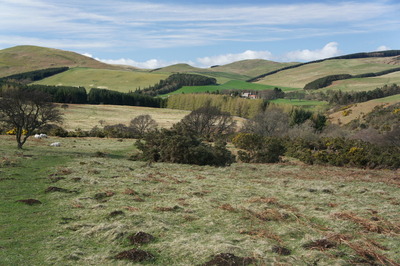 Walk photo
