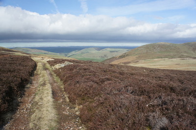 Walk photo