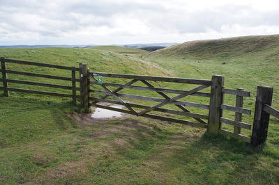 Walk photo
