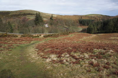 Walk photo
