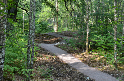 Walk photo