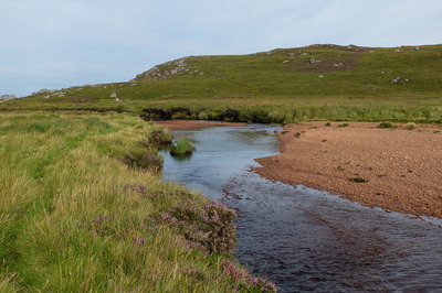 Walk photo