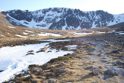 Walk photo