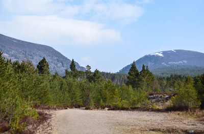 Walk photo