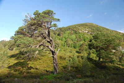 Walk photo