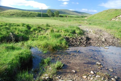 Walk photo