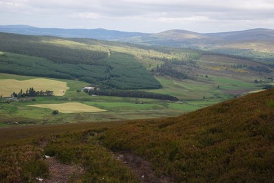 Walk photo