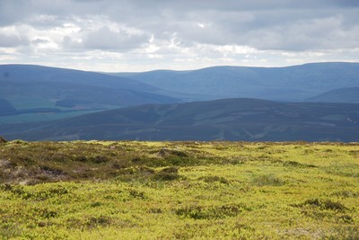 Walk photo