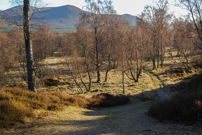 Walk photo
