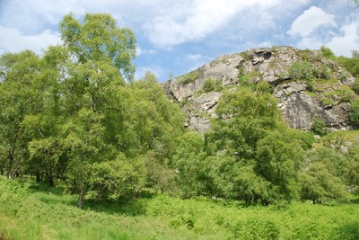 Walk photo
