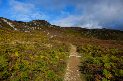 Walk photo