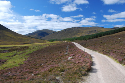 Walk photo