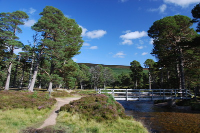 Walk photo