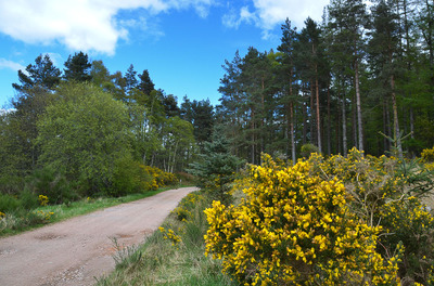 Walk photo