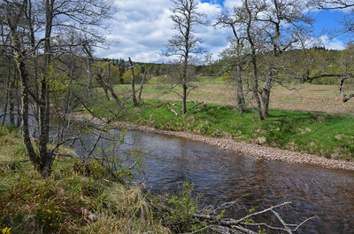 Walk photo