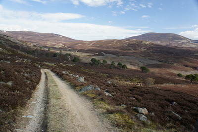 Walk photo