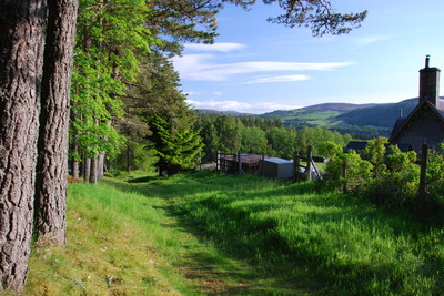 Walk photo