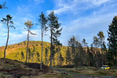 Walk photo