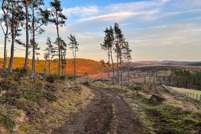 Walk photo
